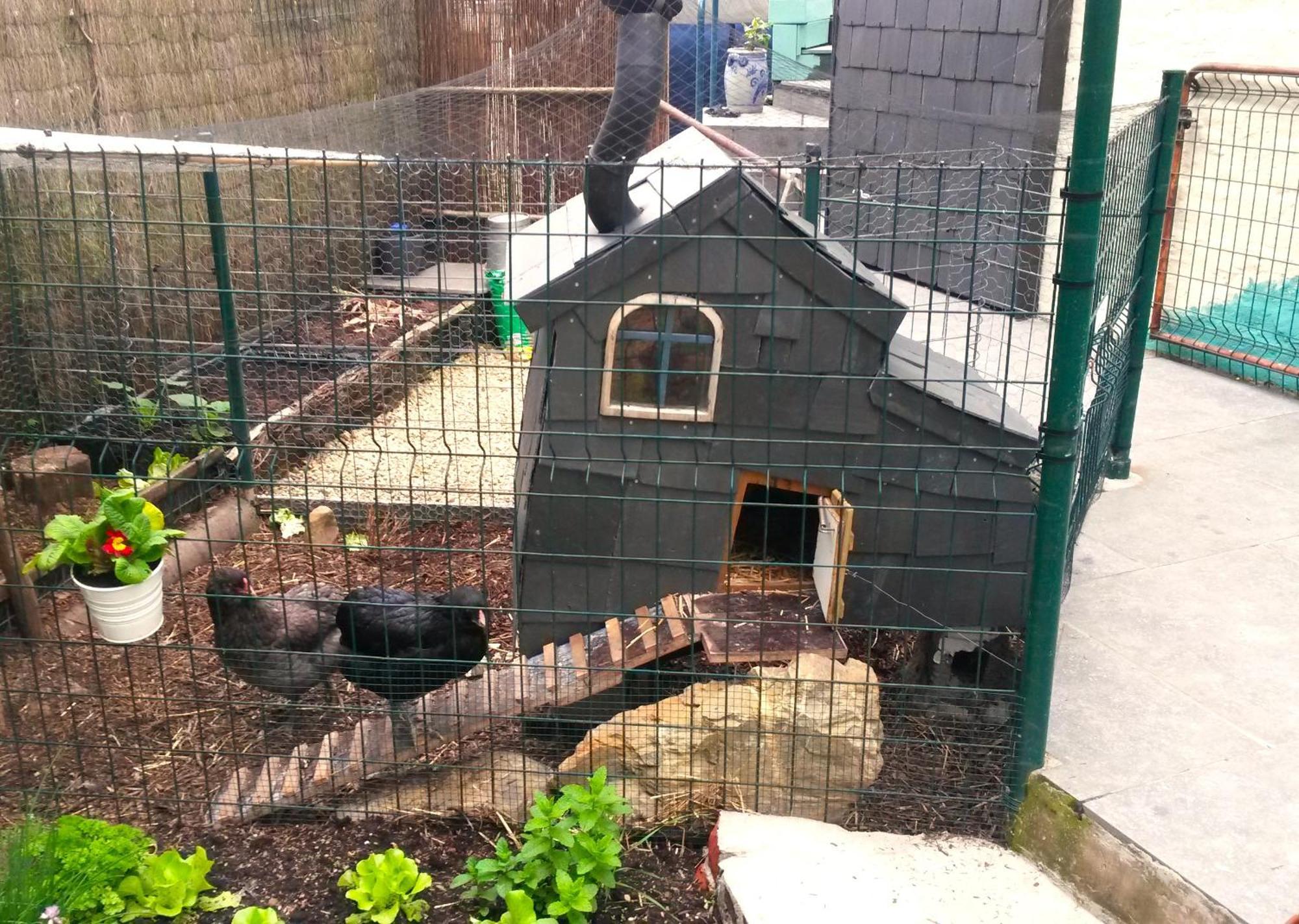 Apartamento Aux Deux Amis Stavelot Exterior foto